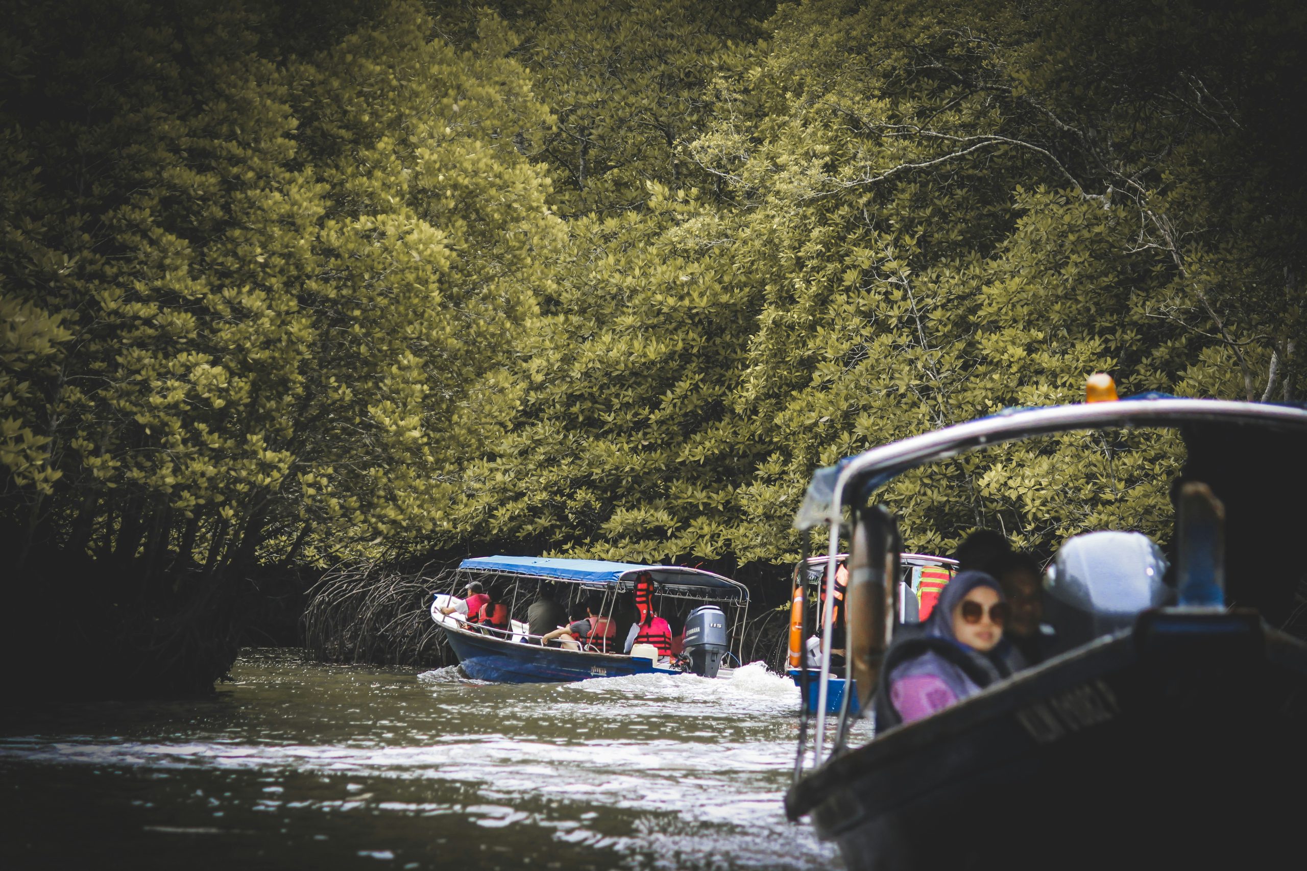 Langkawi: Kilim Mangrove Boat Tour with Lunch and Pickup